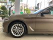 BMW 5 Series 530i 2018 - Cần bán xe BMW 5 Series 530i đời 2018, màu nâu, nhập khẩu