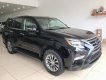 Lexus GX 2019 - Bán Lexus GX460 nhập Mỹ, sản xuất 2019, xe mới 100%, giao ngay. LH: 0906223838