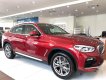 BMW X4 2018 - Xe BMW x4 xDrive20i - Nhập khẩu Đức mới 100%