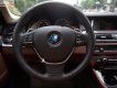 BMW 5 Series 528i 2015 - Bán BMW 528i sản xuất năm 2015, màu nâu, nhập khẩu