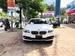 BMW 5 Series 520i 2014 - Bán ô tô BMW 5 Series 520i sản xuất năm 2014, màu trắng, xe nhập