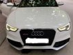 Audi A5 S-line 2.0 2010 - Bán Audi A5 S-line 2.0 đời 2010, màu trắng, xe nhập