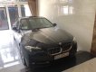 BMW 5 Series 2016 - Cần bán xe BMW 5 Series đời 2016, màu đen, nhập khẩu