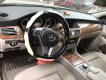 Mercedes-Benz CLS class 350 2013 - Bán xe Mercedes CLS350 2013, màu bạc, xe nhập