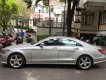 Mercedes-Benz CLS class 350 2013 - Bán xe Mercedes CLS350 2013, màu bạc, xe nhập