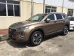 Hyundai Santa Fe 2019 - Cần bán Hyundai Santa Fe năm sản xuất 2019, màu nâu