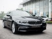 BMW 5 Series 530i  2019 - BMW 530i Luxury Line - Nhập khẩu từ Đức mới 100% - giảm 120 triệu