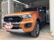 Ford Ranger  Wildtrak 4x4 Bi Turbo 2.0 2019 - Bán xe Ford Ranger Wildtrak 4x4 Bi Turbo 2.0 năm sản xuất 2019, chính chủ 