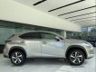 Lexus NX 300 2019 - Bán xe Lexus NX 300 sản xuất 2019, màu vàng, nhập khẩu, sẵn xe giao ngay