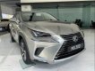 Lexus NX 300 2019 - Bán xe Lexus NX 300 sản xuất 2019, màu vàng, nhập khẩu, sẵn xe giao ngay