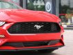 Ford Mustang Convertible 2.3 Ecoboost  2019 - Bán ô tô Ford Mustang Convertible 2.3 Ecoboost đời 2019, màu đỏ, nhập khẩu