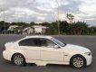 BMW 3 Series 320i 2008 - Bán BMW 3 Series 320i đời 2008, màu trắng, xe nhập