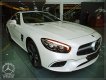 Mercedes-Benz SL class SL 400 2019 - Mercedes-Benz SL 400 model 2020 - Xe thể thao mui trần 2 cửa- LH Đặt xe: 0919 528 520 - hỗ trợ Bank 80%