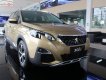 Peugeot 3008 1.6 AT 2019 - Cần bán Peugeot 3008 1.6 AT sản xuất năm 2019