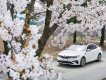 Kia Optima 2019 - Bán ô tô Kia Optima năm 2019, màu trắng, 789 triệu