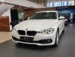 BMW 3 Series 320i 2018 - Cần bán BMW 320i 2018, màu trắng, nhập khẩu