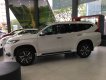 Mitsubishi Pajero Sport 2019 - Bán ô tô Mitsubishi Pajero Sport Diesel 4×2  AT 2018, nhập khẩu chính hãng chất lượng dịch vụ hàng đầu uy tín.