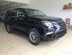 Lexus GX460 2019 - Lexus GX460 Luxury xuất Mỹ 2019 màu đen nội thất nâu