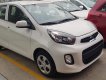 Kia Morning STARDADD 2019 - Bán xe Kia Morning số tự động mới, đời 2019, màu trắng, giá chỉ 339 triệu đủ màu sẵn xe giao ngay