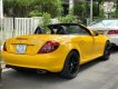 Mercedes-Benz SLK class  SLK350   2008 - Bán Mercedes SLK350 2008, màu vàng, nhập khẩu