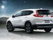 Honda CR V 2019 - Bán Honda CR V đời 2019, màu trắng, nhập khẩu