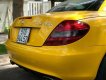 Mercedes-Benz SLK class  SLK350   2008 - Bán Mercedes SLK350 2008, màu vàng, nhập khẩu