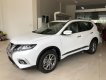 Nissan X trail 2019 - Bán Nissan X-Trail SL, SV 2019, giá tốt trong tháng, sẵn xe giao ngay