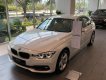 BMW 3 Series 320i 2018 - Bán BMW 3 Series 320i năm 2018, màu trắng, nhập khẩu