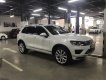 Volkswagen Touareg SUV 2017 - Cần bán Volkswagen Touareg 2017, trắng ngọc trinh, còn mới tinh không lầm lỗi, Odo 6200Km, full options