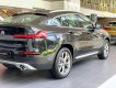 BMW X4   xDrive 20i 2019 - Cần bán xe BMW X4 xDrive 20i năm sản xuất 2019, nhập khẩu nguyên chiếc