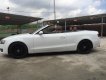 Audi A5 2010 - Bán xe Audi A5 Cabrionet năm SX 2010, mầu trắng, Hà Nội