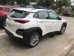 Hyundai Hyundai khác 2019 - Hot Kona 2.0 AT Đặc Biệt giá tốt giao ngay đủ màu . KM 30TR 