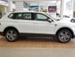 Volkswagen Tiguan Allspace Luxury 2019 - Bán Volkswagen Tiguan Allspace Luxury sản xuất năm 2019, màu trắng, nhập khẩu