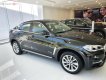 BMW X6   2019 - Cần bán BMW X6 XDrive35i đời 2019, nhập khẩu