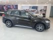 BMW X1 sDrive18i 2019 - Bán BMW X1 sDrive18i đời 2019, màu đen, nhập khẩu nguyên chiếc