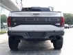 Ford F 150 Raptor 2019 - Cần bán Ford F 150 Raptor SX 2019, màu trắng, xe nhập Mỹ mới 100% LH: 0905098888 - 0982.84.2838