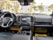 Ford F 150 Raptor 2019 - Bán xe Ford F 150 Raptor sản xuất năm 2019, màu đen, nhập khẩu