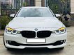 BMW 3 Series 320i 2014 - Bán BMW 3 Series 320i sản xuất 2014, màu trắng, nhập khẩu