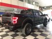 Ford F 150    2019 - Cần bán Ford F 150 2019, màu đen, xe nhập