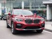 BMW X4 xDrive20i 2019 - Bán ô tô BMW X4 xDrive20i đời 2019, màu đỏ, nhập khẩu nguyên chiếc