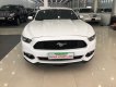 Ford Mustang 2017 - Cần bán xe Ford Mustang sản xuất 2017, màu trắng, nhập khẩu nguyên chiếc