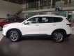 Hyundai Santa Fe 2019 - Bán Hyundai Santafe -đặc biệt đủ màu giao liền tay