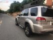 Ford Escape XLS 2.3L 4x2 AT 2011 - Xe Ford Escape XLS 2.3L 4x2 AT 2011, màu vàng, giá chỉ 375 triệu