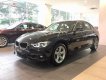 BMW 3 Series 320i 2019 - Cần bán BMW 3 Series 320i 2019, màu đen, nhập khẩu