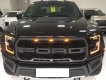 Ford F 150 2019 - Bán F150 Raptor 2019 USA, giao xe ngay