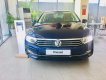 Volkswagen Passat Blue motion 2019 - Volkswagen passat blue motion - xe sang cho doanh nhân