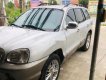 Hyundai Santa Fe 2003 - Bán Hyundai Santa Fe đời 2003, màu bạc, xe nhập