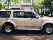 Ford Everest 2009 - Bán Ford Everest sản xuất 2009, màu vàng