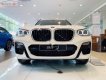 BMW X3 2019 - Cần bán BMW X3 xDrive20i đời 2019, màu trắng, xe nhập