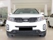 Kia Sorento 2019 - Bán Kia Sorento 2019 tự động, xăng, odo 17.000km, BSTP